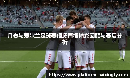 丹麦与爱尔兰足球赛现场直播精彩回顾与赛后分析