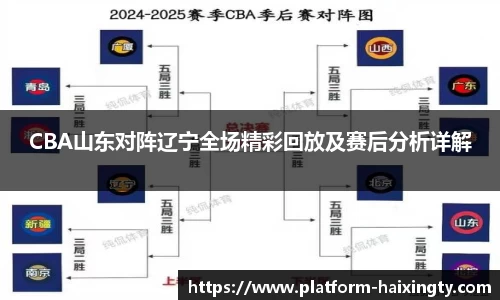 CBA山东对阵辽宁全场精彩回放及赛后分析详解
